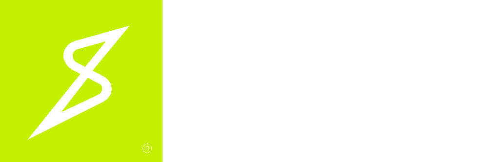 logoStraivr